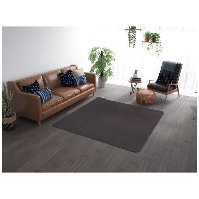 ♥ 未開梱 パナソニック Panasonic ホットカーペット NKシリーズ カバー＋本体 |2畳相当 DC-2NKC10