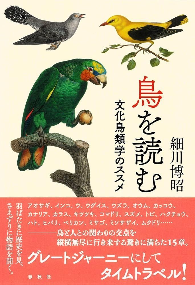 【大人気，お買い得】 鳥を読む　文化鳥類学のススメ その他
