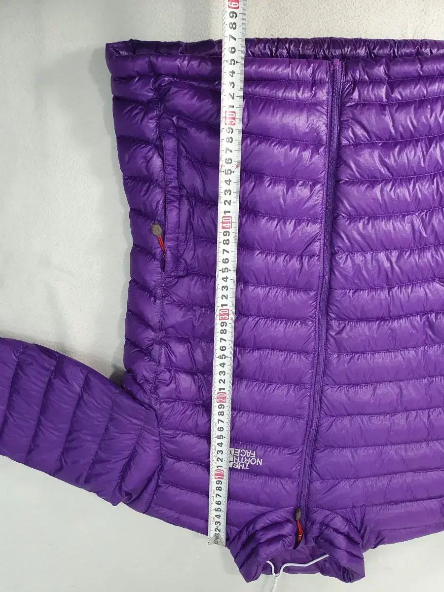 パープル レディース