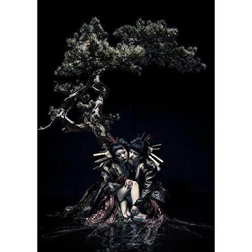Blu-ray】GazettE / the GazettE LIVE TOUR12-13【DIVISION