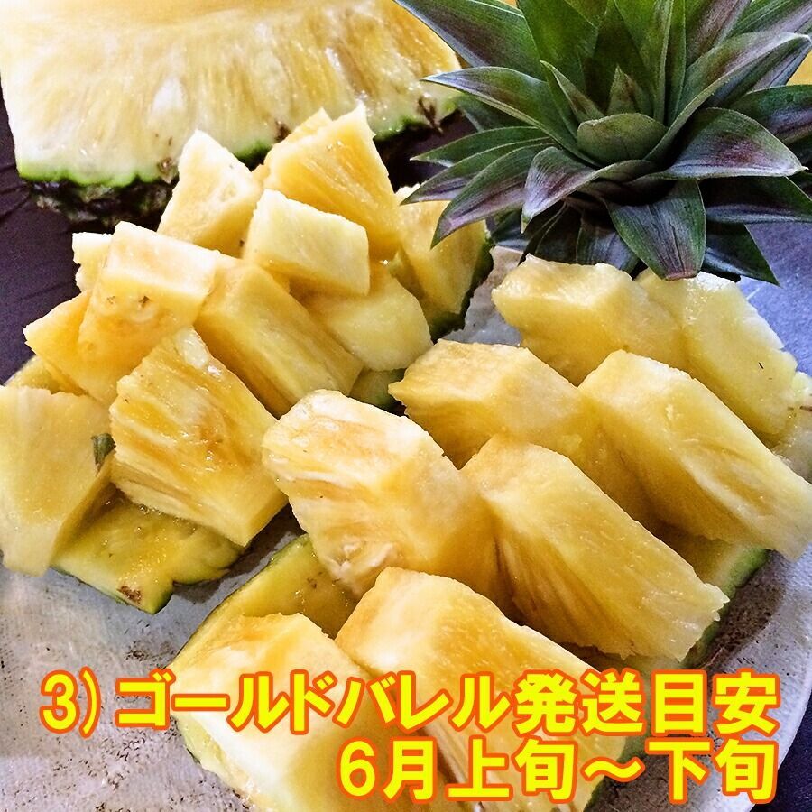 全4回発送