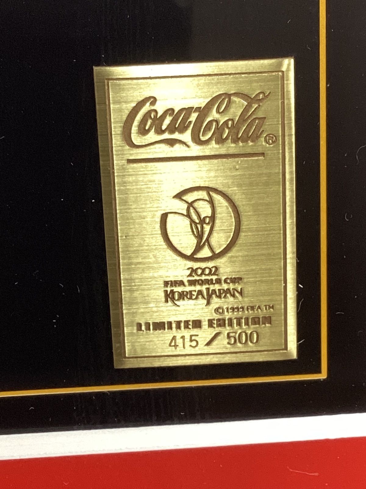 FIFA WORLD CUP ワールドカップ 2002 KOREA JAPAN 額入り
