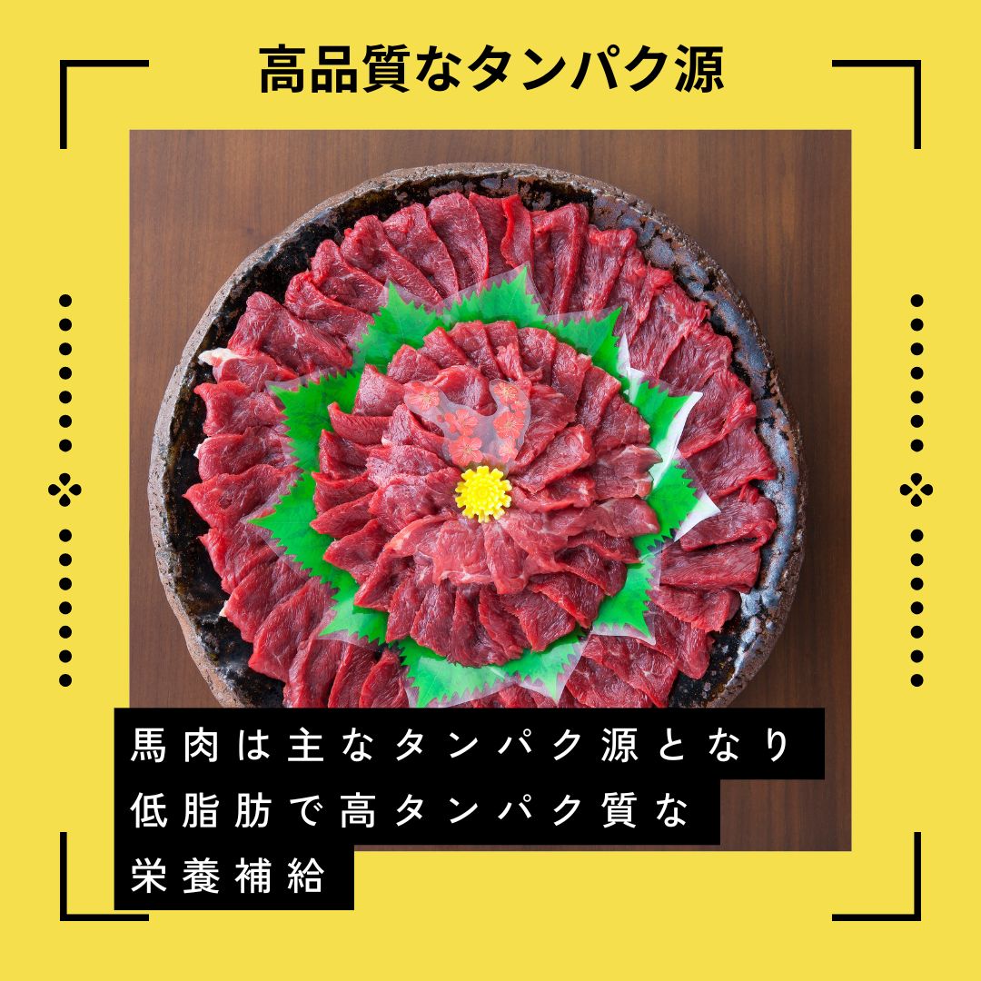 犬用 完全