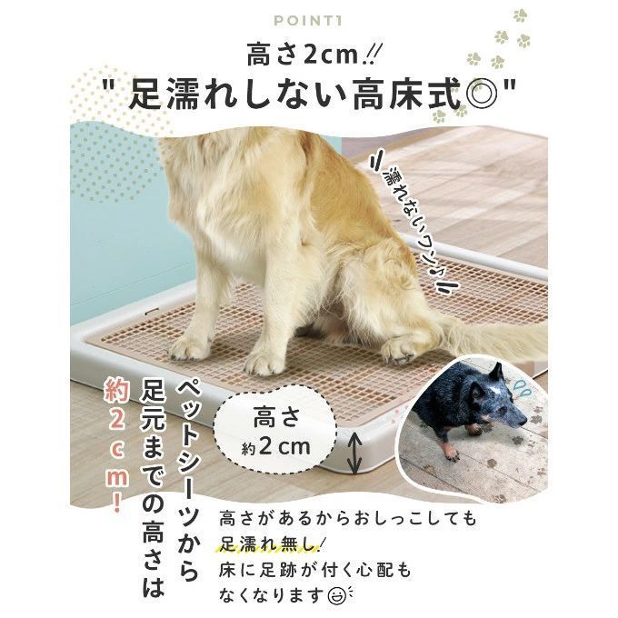 犬