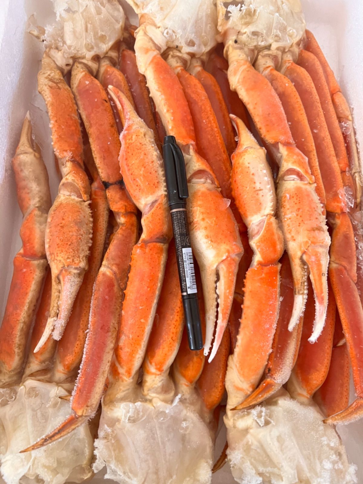 特大4〜5Lズワイ蟹2kg 化粧箱入 贈答用 - メルカリ