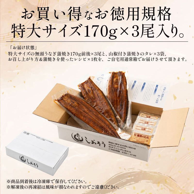 国産うなぎ 贈り物