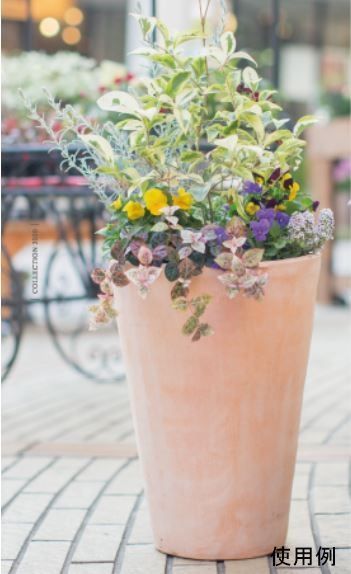 シンプル丸深型