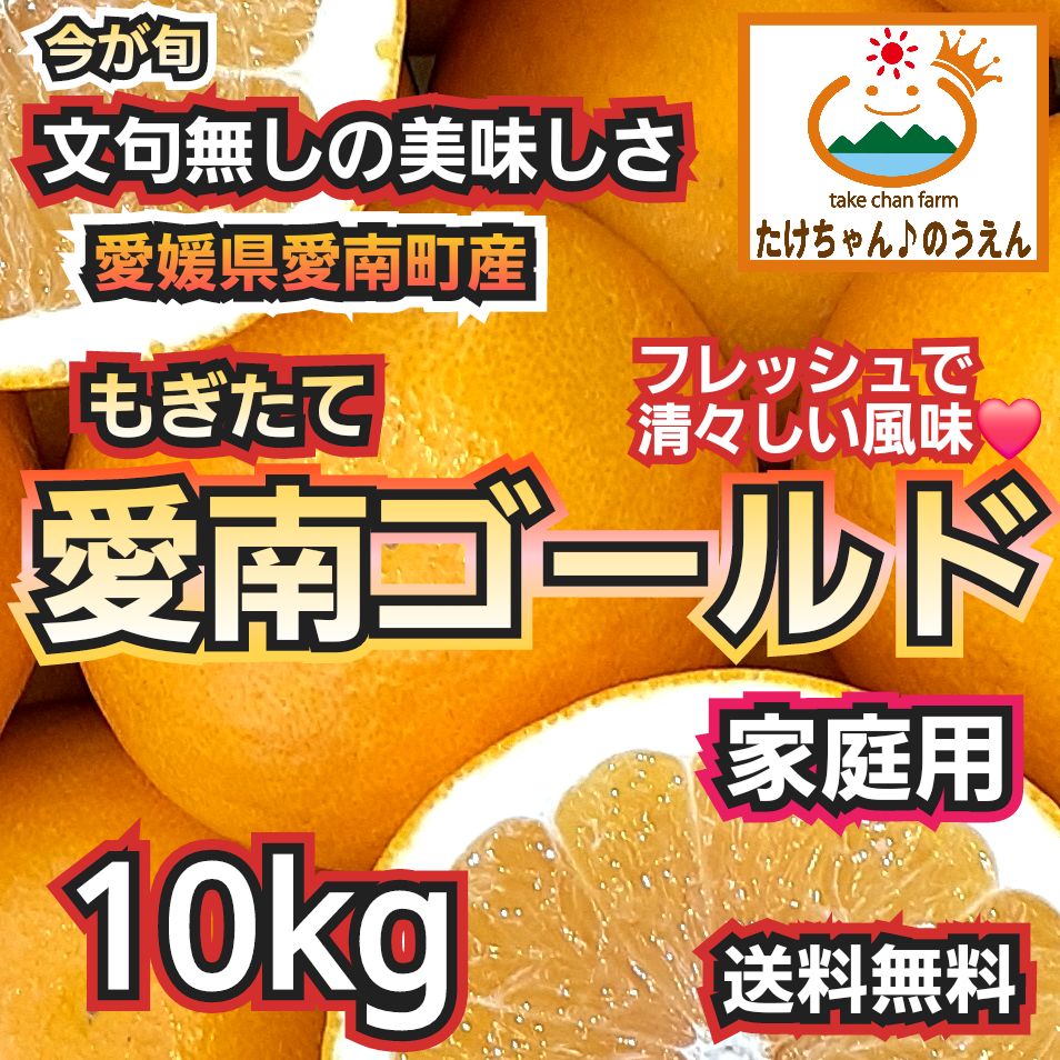 今が旬のみかん】フレッシュ♪ジューシー♪愛南ゴールド家庭用10kg