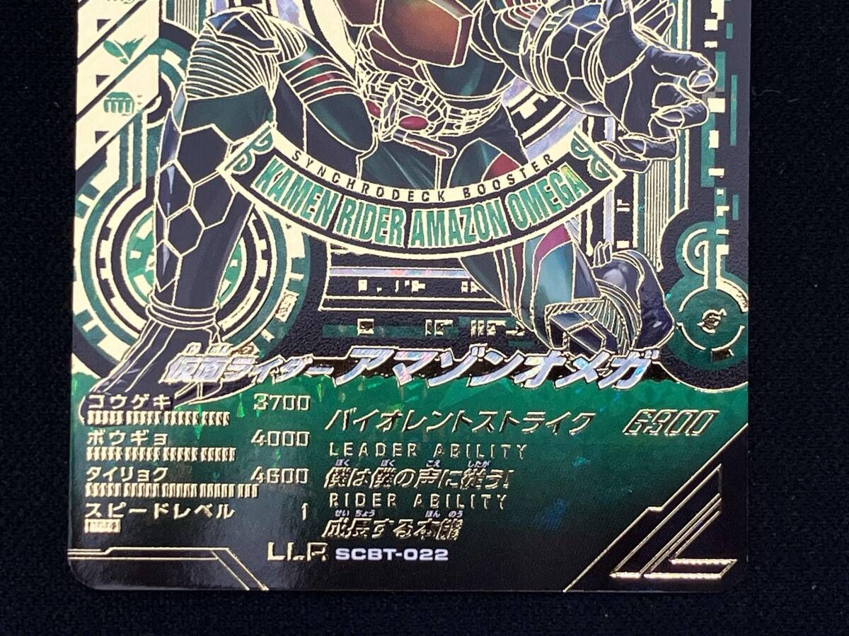 仮面ライダーバトル ガンバライジング