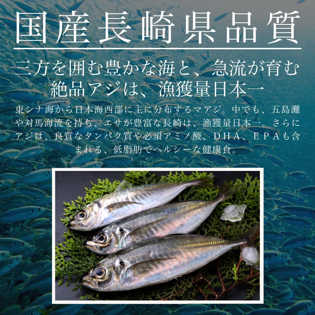 国産 骨取り アジフライ フィレ 10枚(約350-400g) 長崎 冷凍 お刺身鮮度の真アジを使用 お子様も食べやすい骨取りタイプ 嬉しいチャック袋入り アジ 鰺フライ 骨なし【C配送：冷凍】