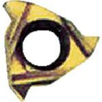 NOGA Carmexねじ切り用チップ ISOメートルねじ用 チップサイズ6×P0 75×60° 10個セット