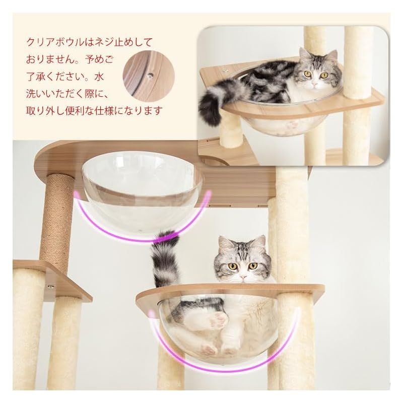 大型猫 ストレス発散