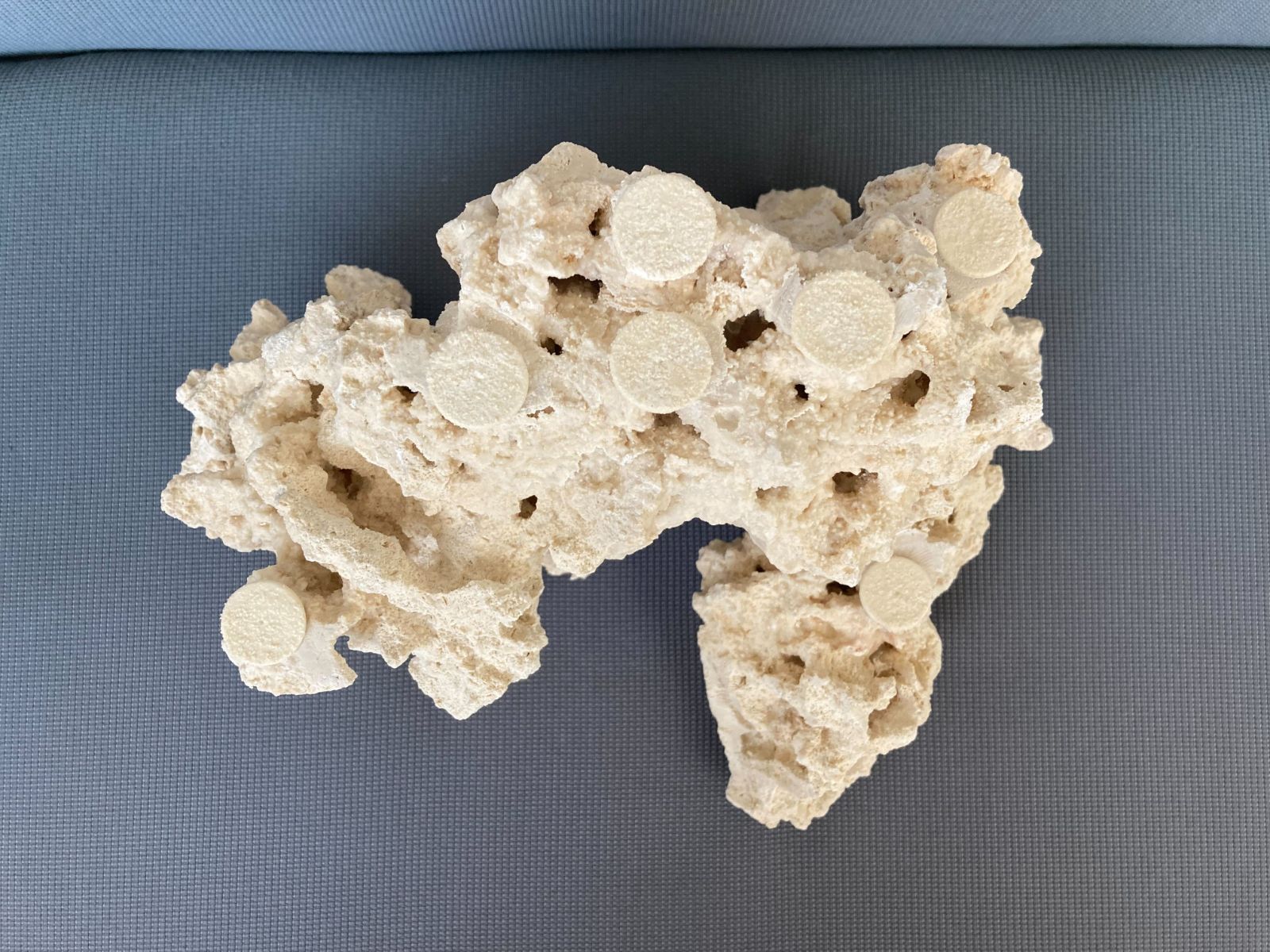 海水水槽用 サンゴ水槽向け