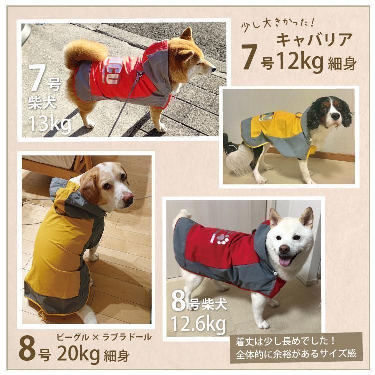 大型犬 レインウェア