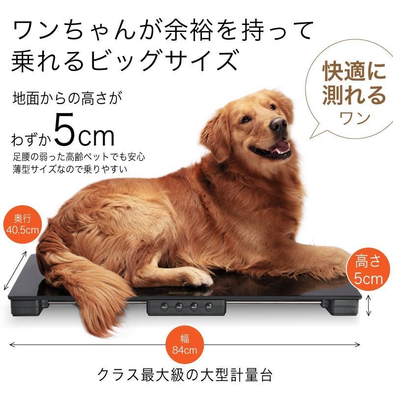 犬 大型犬