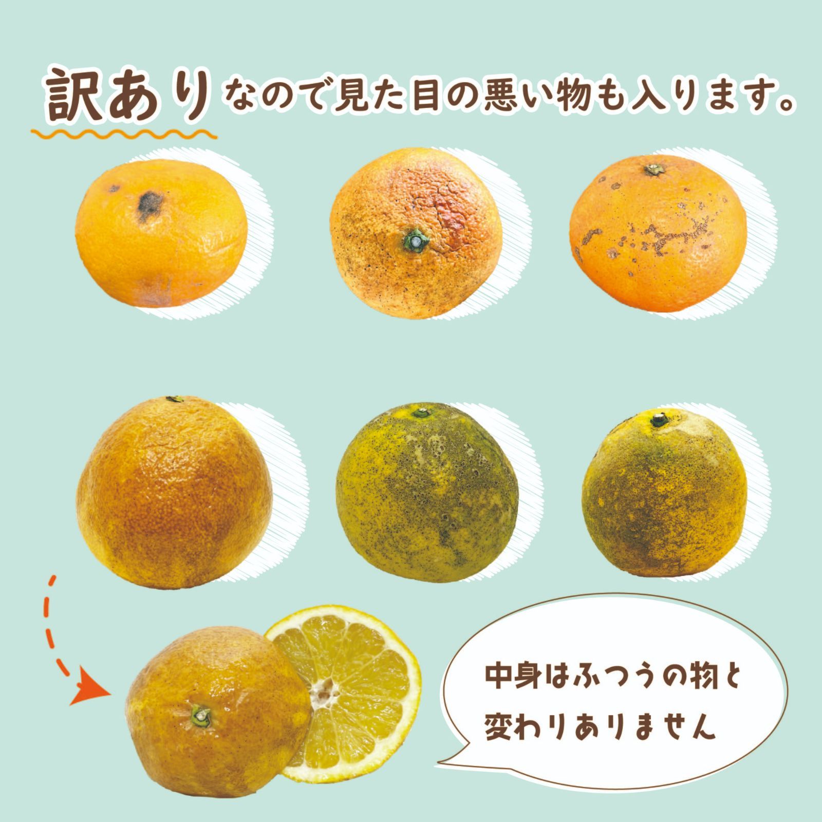 【超お買い得】河内晩柑・甘夏詰め合わせ10kg補償有-5