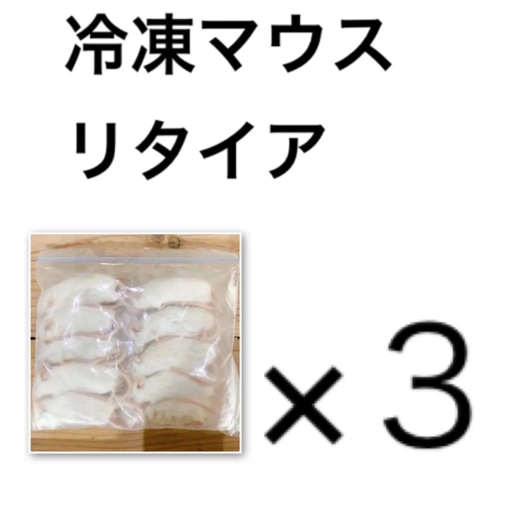 冷凍マウス リタイア ３袋