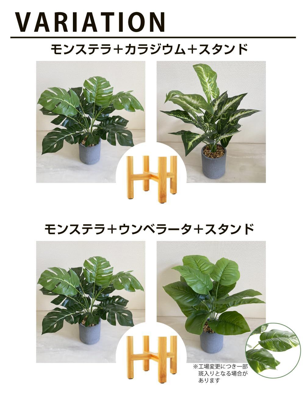 モンステラとカラジウム