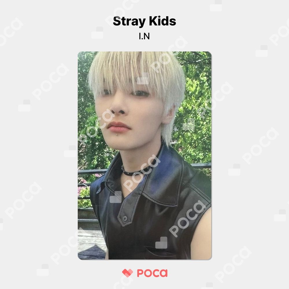 StrayKids アイエン スキズ MAXIDENT トレカ straykids アイエン スキズ トレカ MAXIDENT Shopee 公式 トレカ