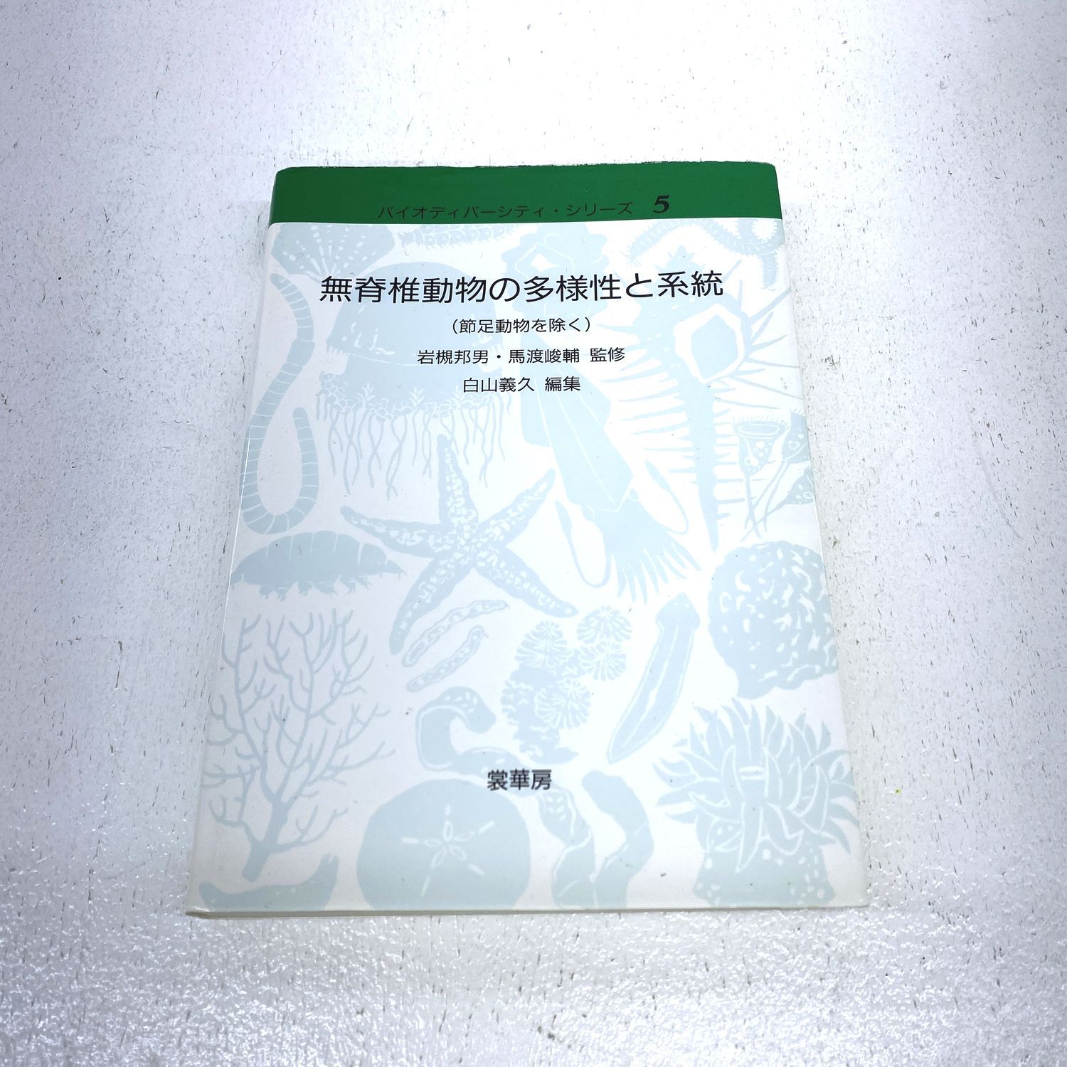 【中古】 無脊椎動物の多様性と系統(節足動物を除く) 【加古川物流】【211】 中古】 無脊椎動物の多様性と系統(節足動物を除く) 【加古川物流】【