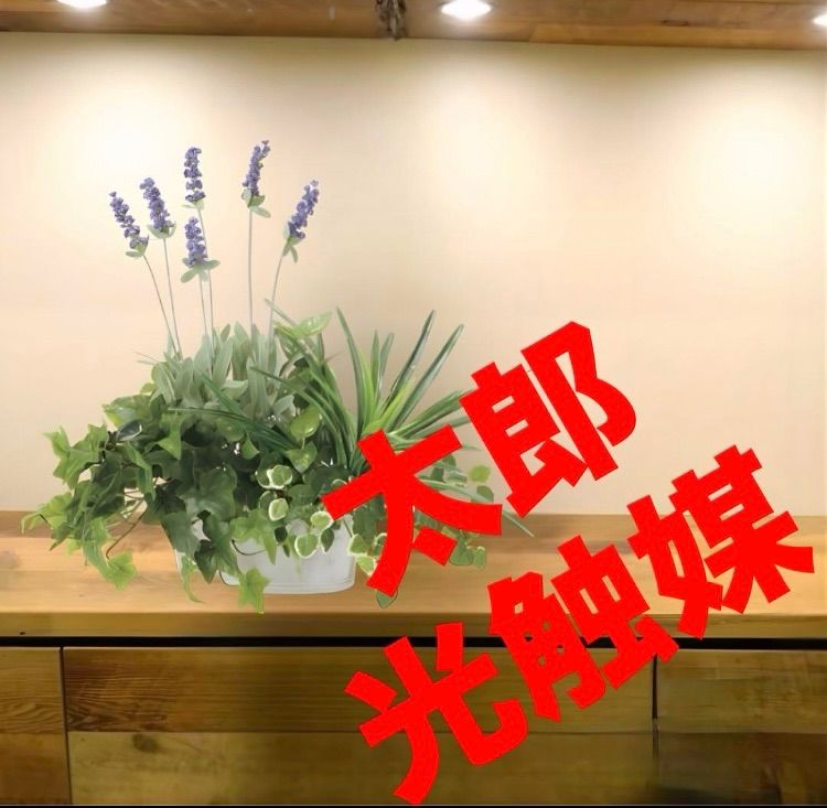良い 光触媒 人工観葉植物 ウォールグリーン フェイクグリーン 寄せ