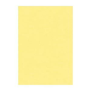 リンテック ニューカラーＲ 8 NCR-101 クリーム