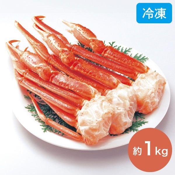 ボイルずわい蟹脚 約1kg 北海道から産地直送ズワイガニ 海鮮 お取り寄せ グルメ 冷凍 カニ 蟹足 蟹肩 茹で蟹 4L 3肩 大きい 身入り保証付 産地直送 同梱不可
