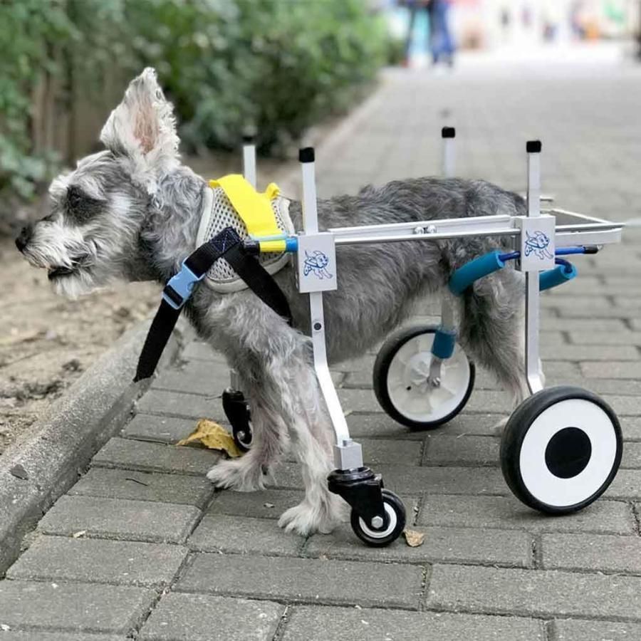 犬用歩行器
