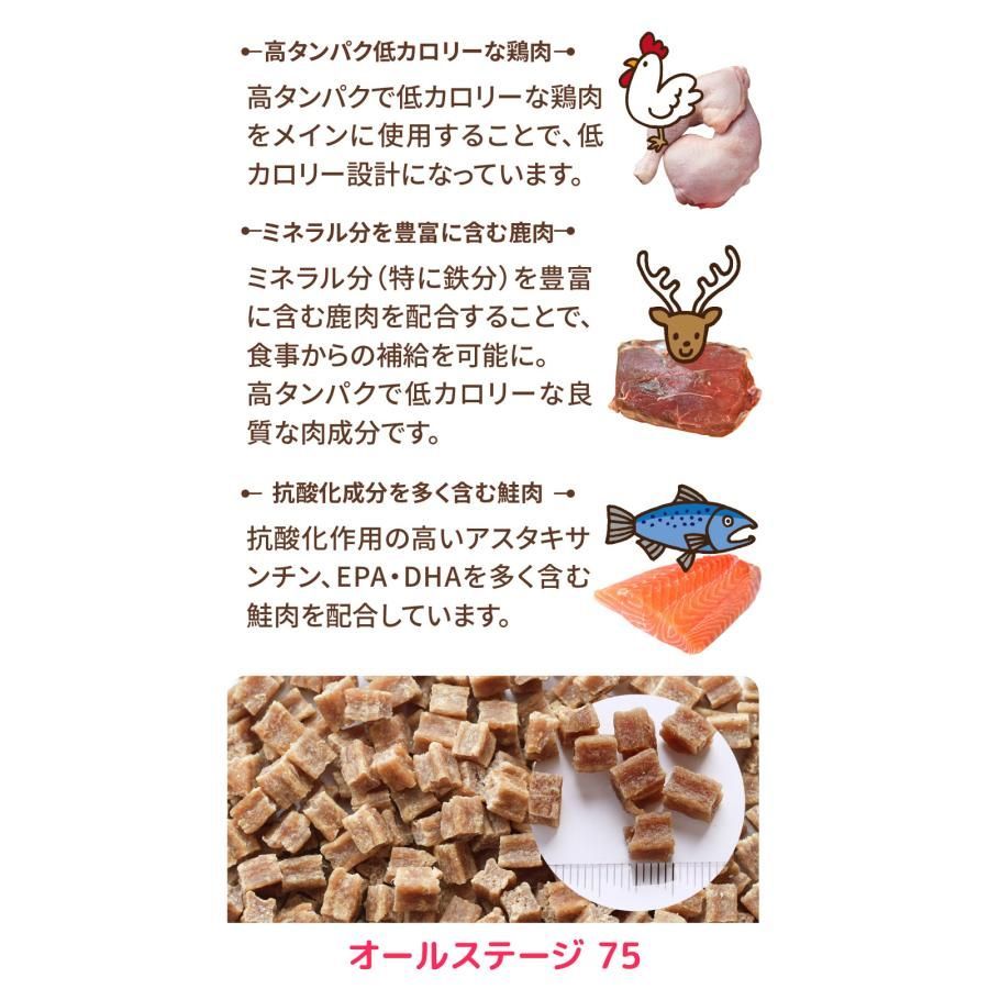 ドッグヴォイス シニア
