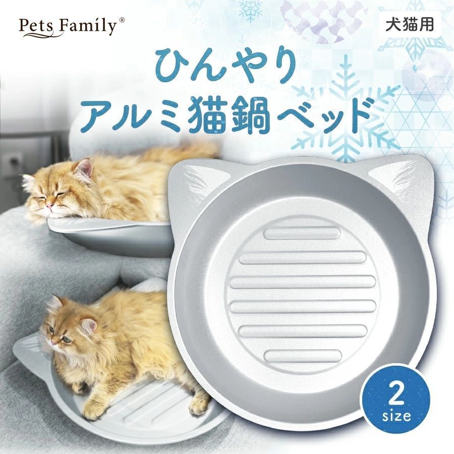 メルカリ市セール】Tomson FV-600 国産ビンテージ フライングV