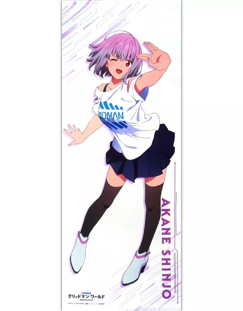 タペストリー 新条アカネ 等身大タペストリー グリッドマンワールド