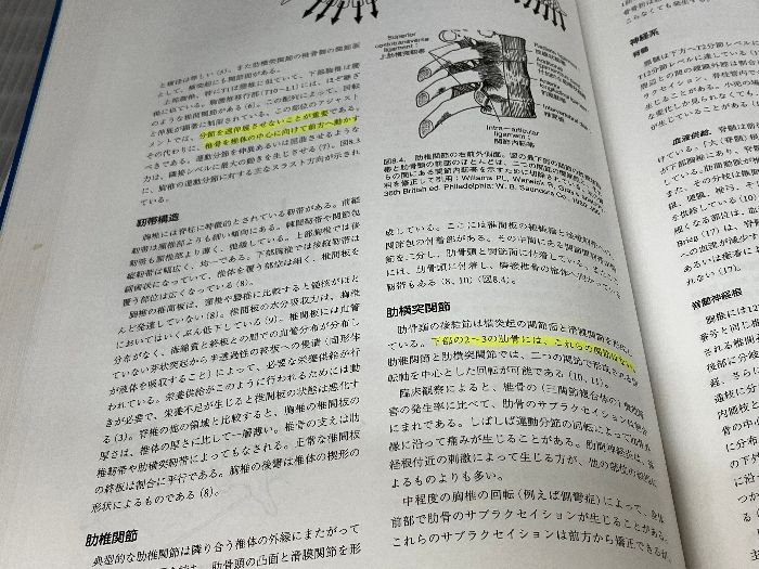 限定値下げ　クリニカルカイロプラクティック 特定的なバイオメカニカルアプローチ クリニカルカイロプラクティック特定的なバイオメカニカルアプローチ