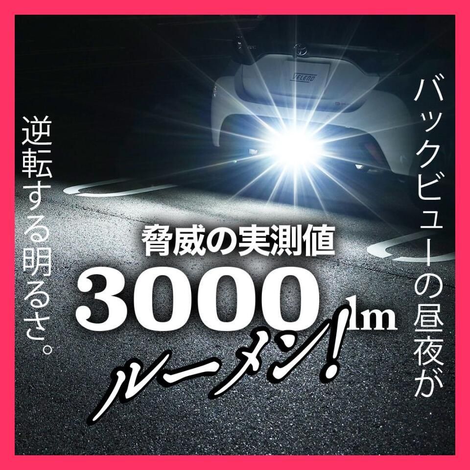 VELENO ヴェレーノ