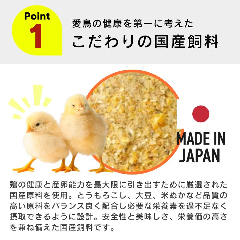 養鶏 鶏