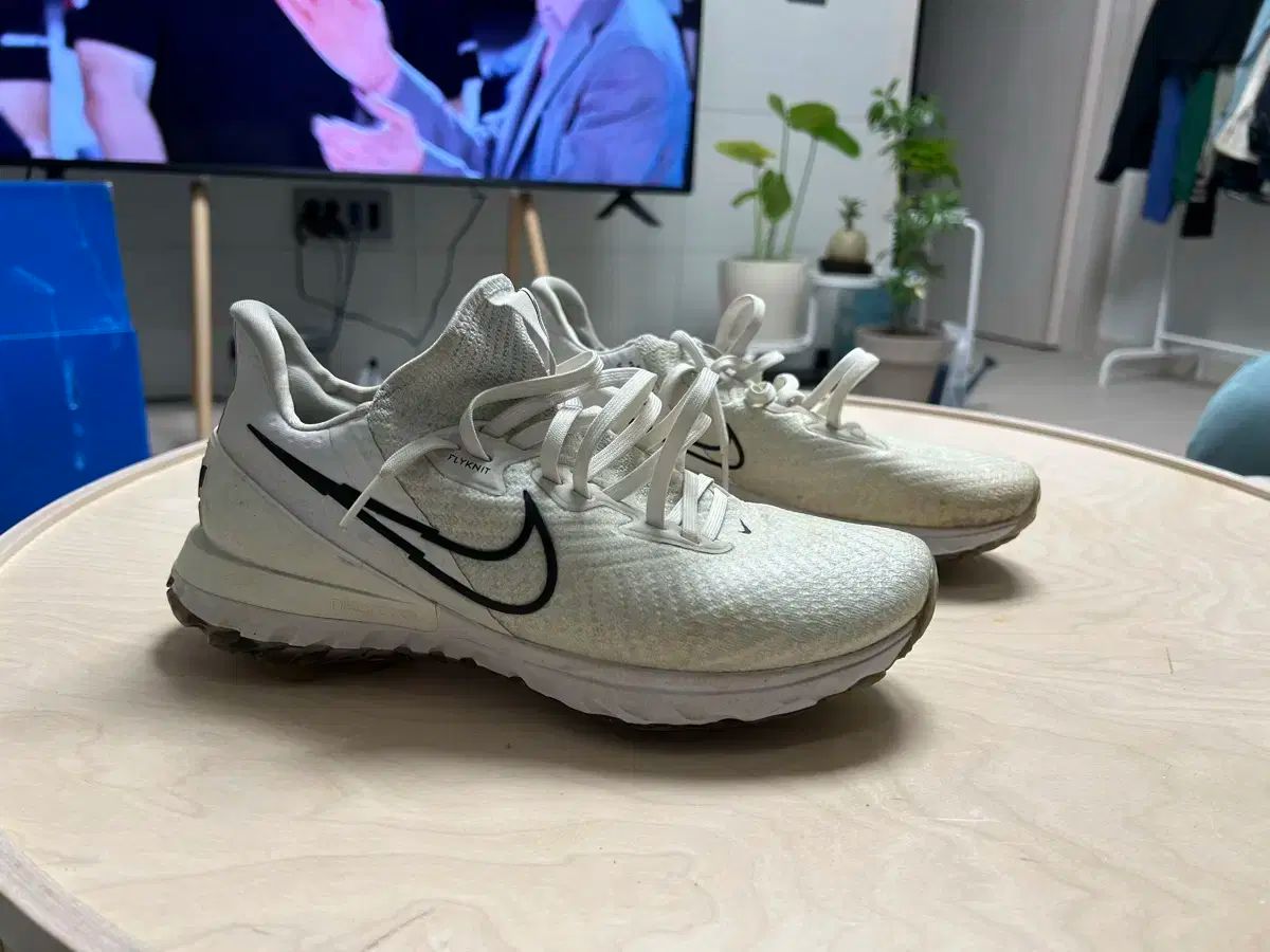 【雷市場（ポンジャン）商品韓国直送】 NIKE(ナイキ) ゴルフシューズ リアクト ／ 260
