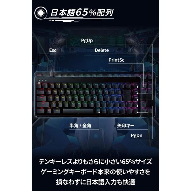 エレコム ゲーミングキーボード V-custom VK300C 有線 RGB テンキー