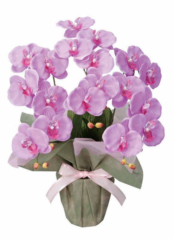 造花 胡蝶蘭」の人気商品一覧 | 安い商品を通販サイトから探す - 価格