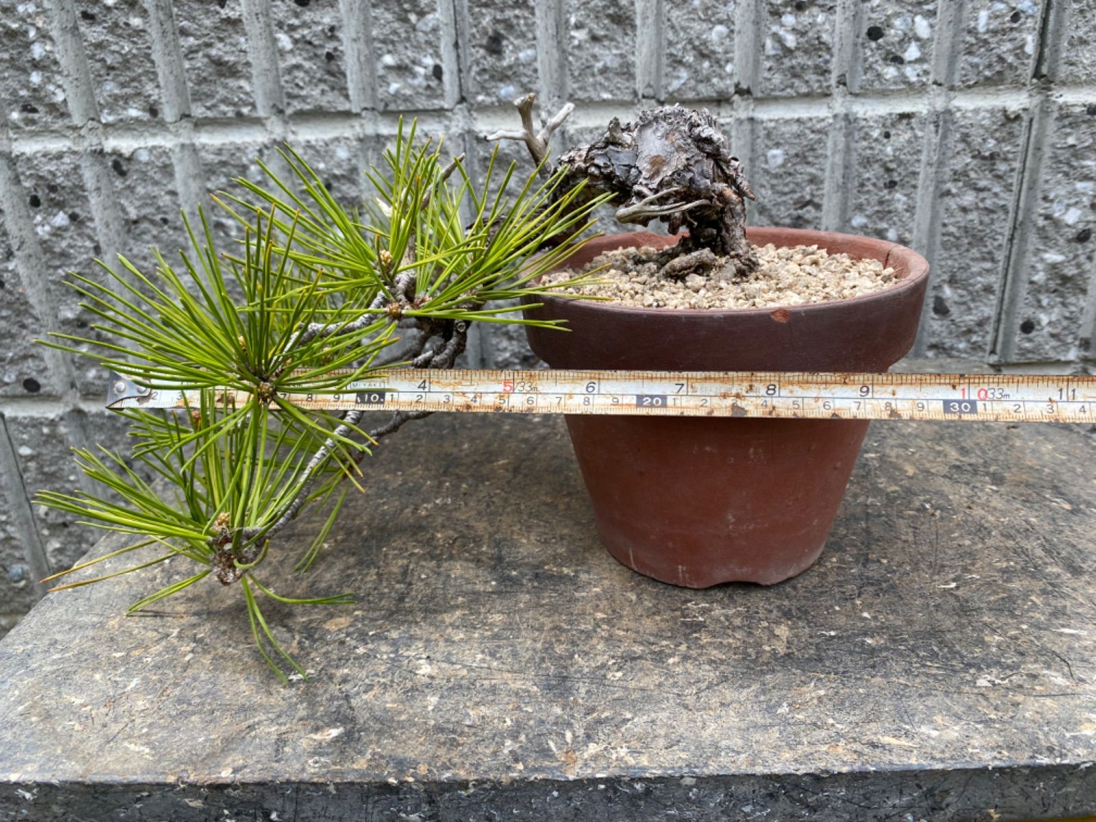 園芸