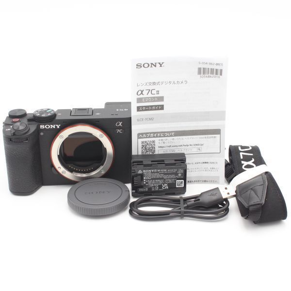 ショット数3924枚！□ほぼ新品□ SONY ミラーレス一眼カメラ