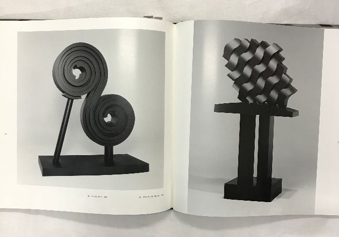 建畠覚造作品集 図録】建畠覚造作品集 KAKUZO TATEHATA 講談社 著:建畠覚造 1992