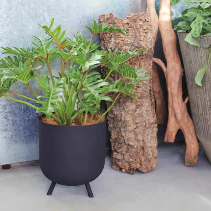 KONTONコントン ライム LIME ベース鉢カバー 35cm KONTONコントン ライム LIME ベース鉢カバー 35cm