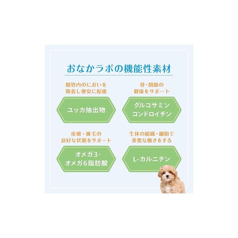 成犬用
