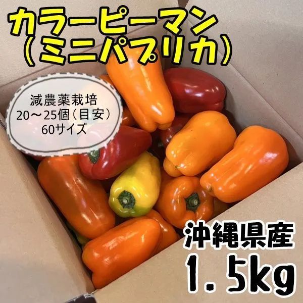 沖縄県産☆カラーピーマン（ミニパプリカ）1.5kg - メルカリ