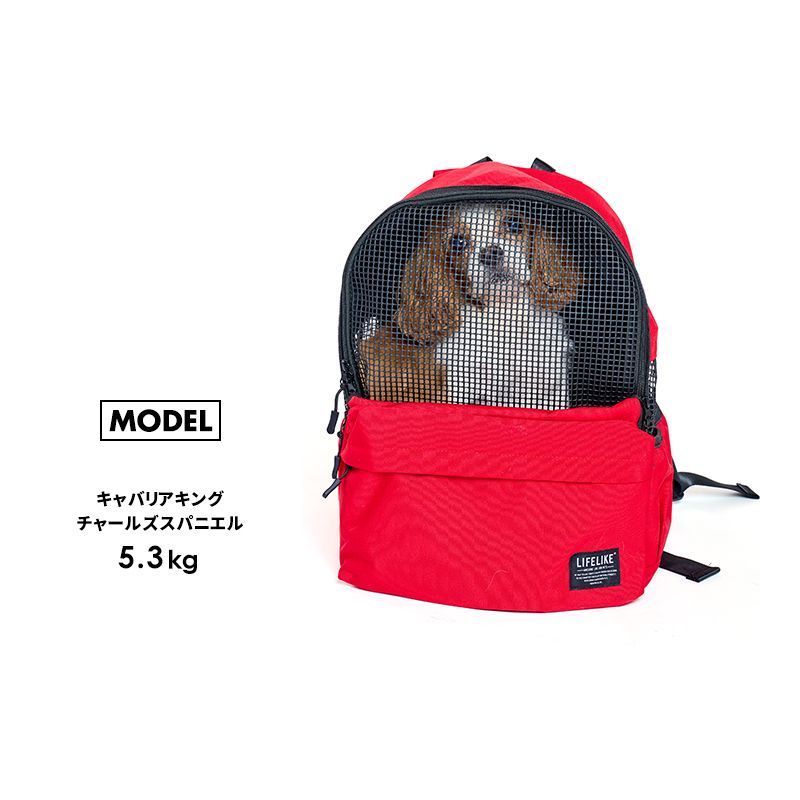 【デイパックキャリー】 犬用 キャリーバッグ  窓 犬リュック リュック型キャリー 犬用リュック 犬用キャリーケース リード付き 移動 バッグ 犬 小型犬 中型犬 10kg［ライフライク LIFELIKE公式］
