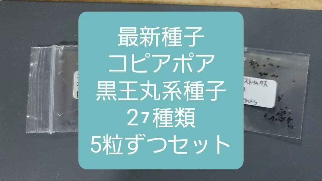 2025輸入 コピアポア 黒王丸系種子 27種類 5粒ずつセット