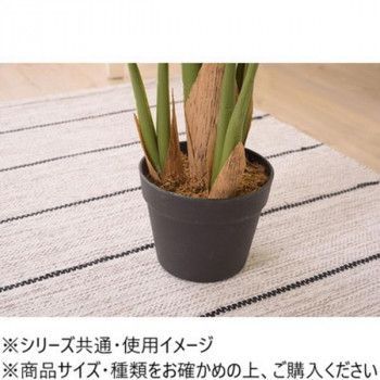 東谷 フェイクグリーン
