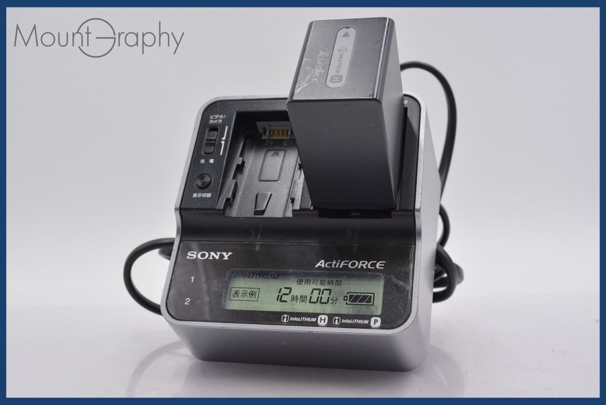 ソニー SONY AC-VQH10 SONY NP-FH100 完動 同梱可 mj5601