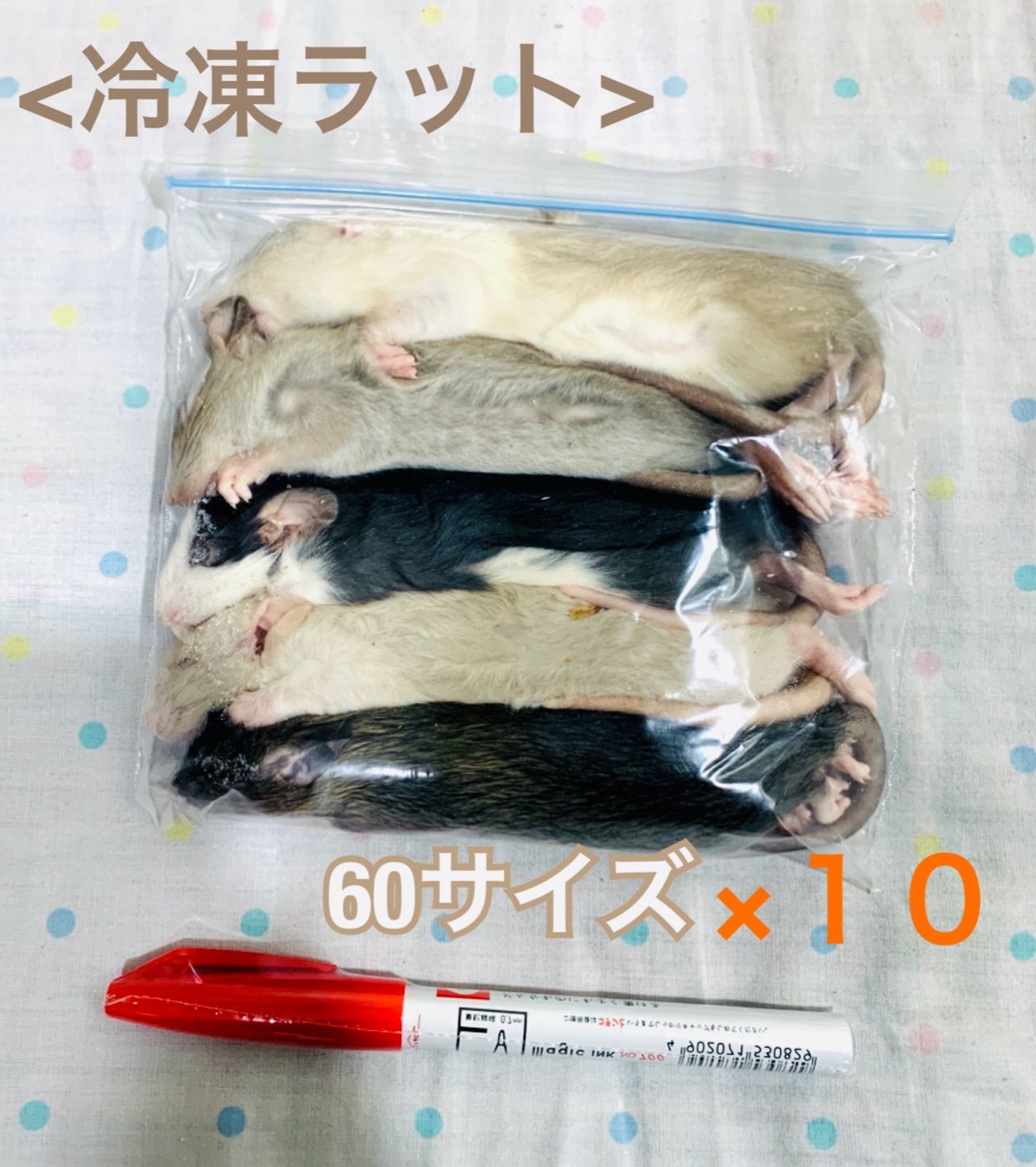 国産冷凍ラットB級品 300〜350g 5匹＋アルファ 国産冷凍ラットB級品 300〜350g 5匹＋アルファ 冷凍ラット 国産