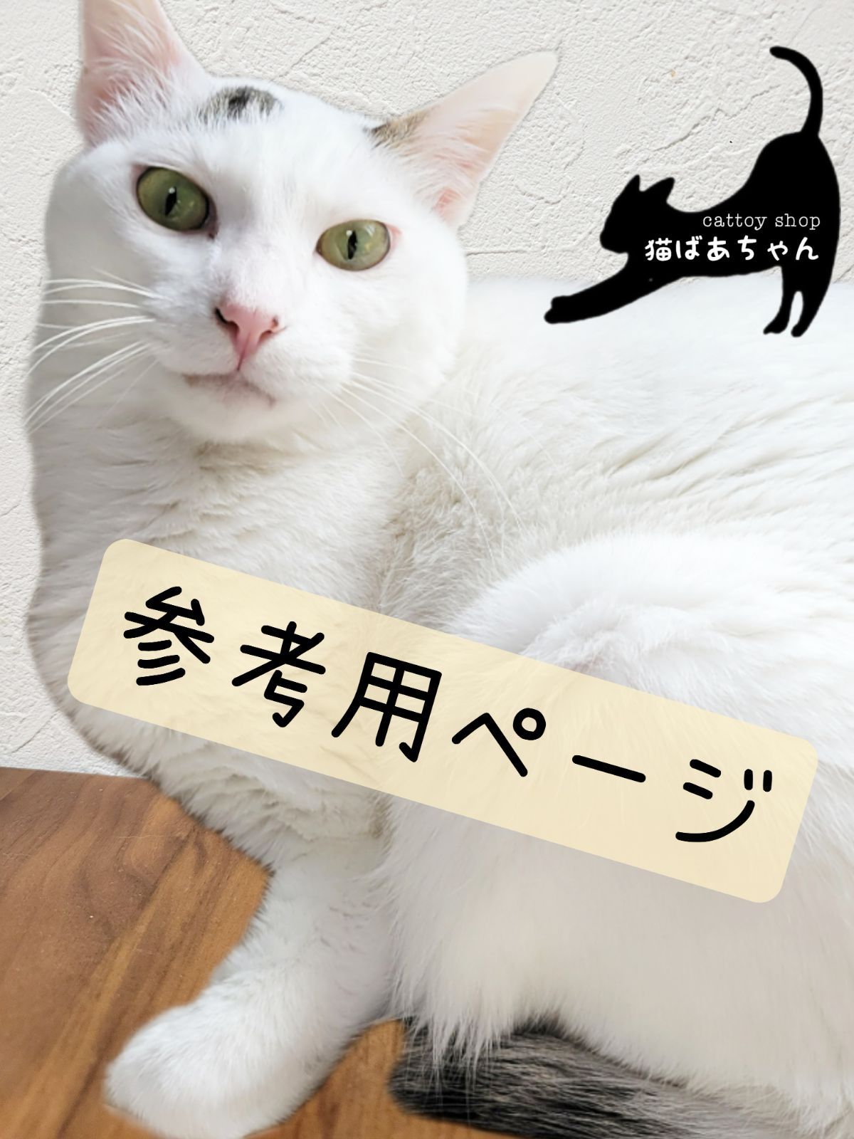参考用ページ