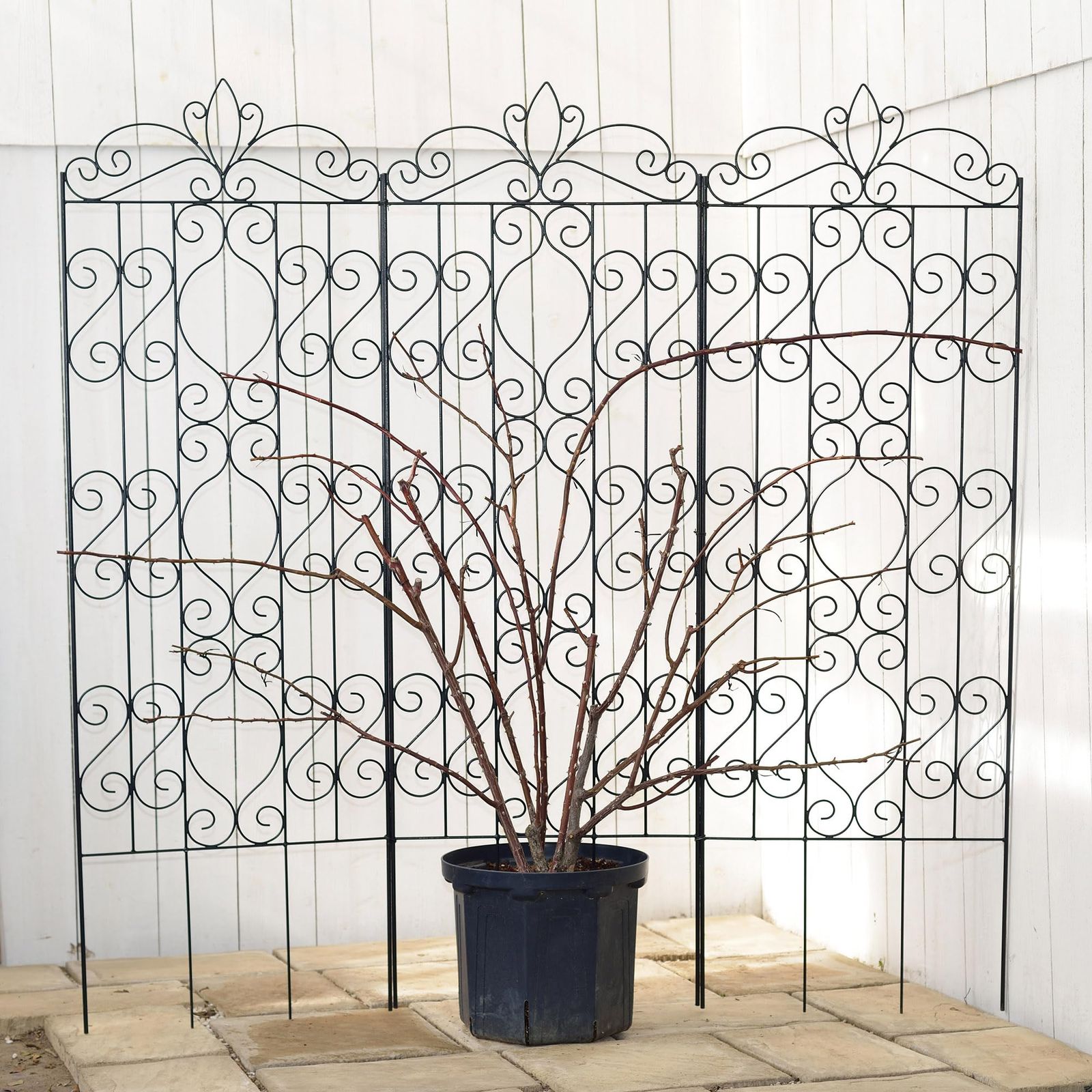 タカショー G Story デザイントレリス 1800 まとめ制作 花屋品質